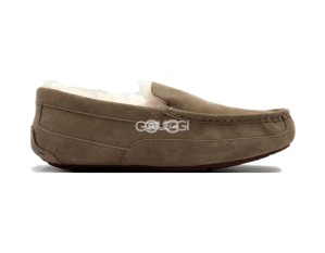 Ascot Olive