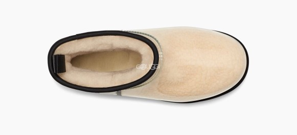 Женские прозрачные мини угги Classic Clear Mini Natural Black 