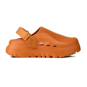 Ugg Colour Dark Apricot