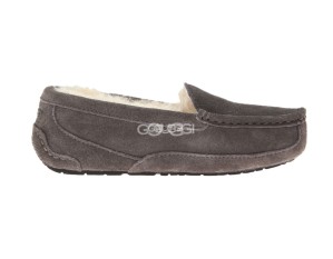 Ascot Grey