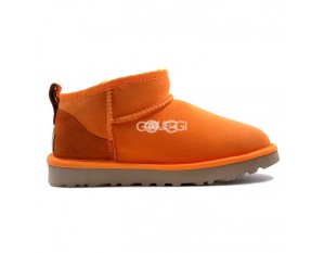 Ultra mini California Poppy